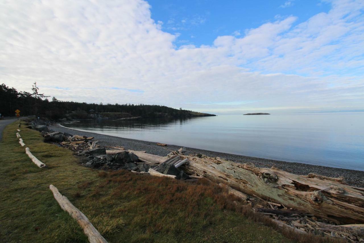 Lopez Island Agate Beach Waterfront Home Islandale エクステリア 写真